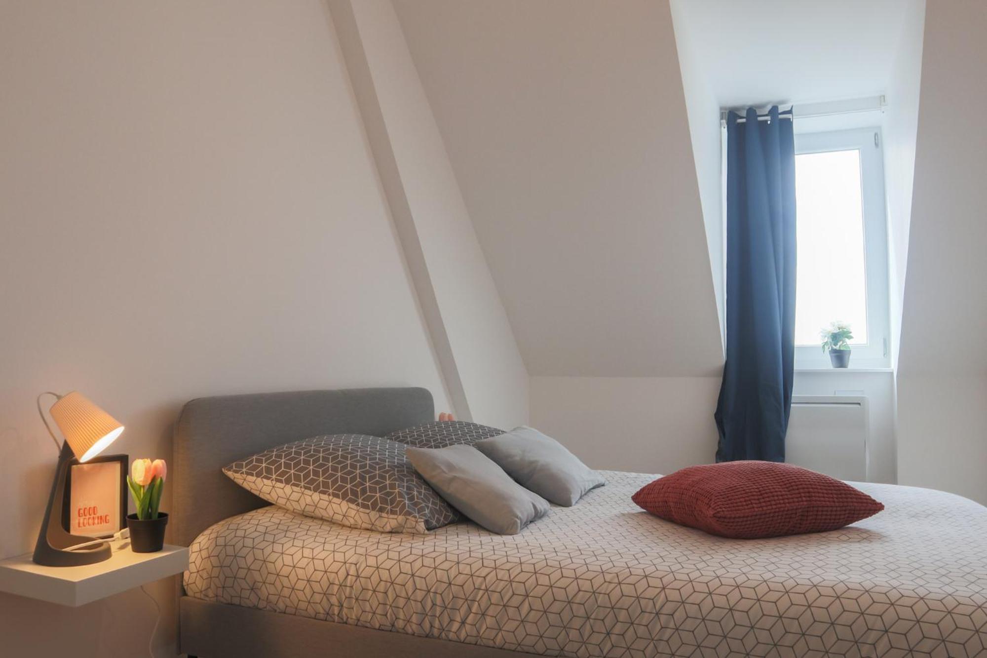 Apartament Le Sunny, Mulhouse Centre Zewnętrze zdjęcie
